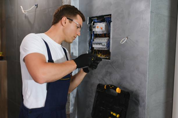Best Electrician for Home Renovation  in Dadeville, AL