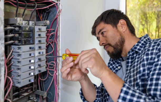 Best Home Electrical Repair  in Dadeville, AL